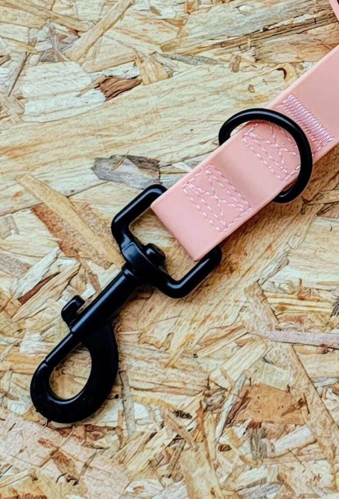Naranja + Porta bolsas/premios
