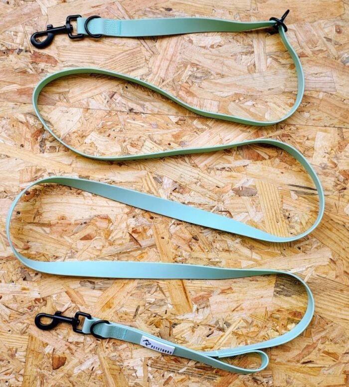 Menta + Porta bolsas/premios
